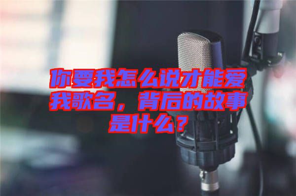 你要我怎么說(shuō)才能愛(ài)我歌名，背后的故事是什么？