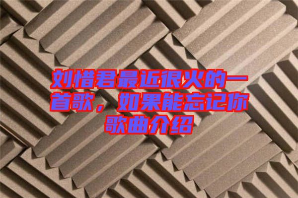 劉惜君最近很火的一首歌，如果能忘記你歌曲介紹