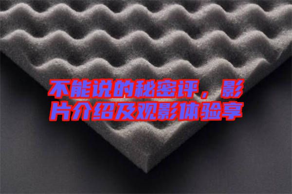 不能說的秘密評，影片介紹及觀影體驗享