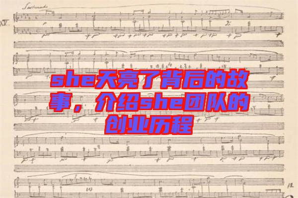 she天亮了背后的故事，介紹she團(tuán)隊(duì)的創(chuàng)業(yè)歷程