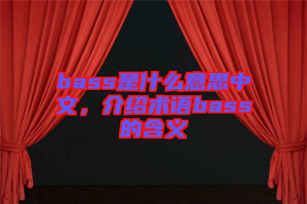 bass是什么意思中文，介紹術(shù)語bass的含義