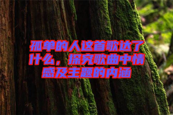 孤單的人這首歌達了什么，探究歌曲中情感及主題的內(nèi)涵