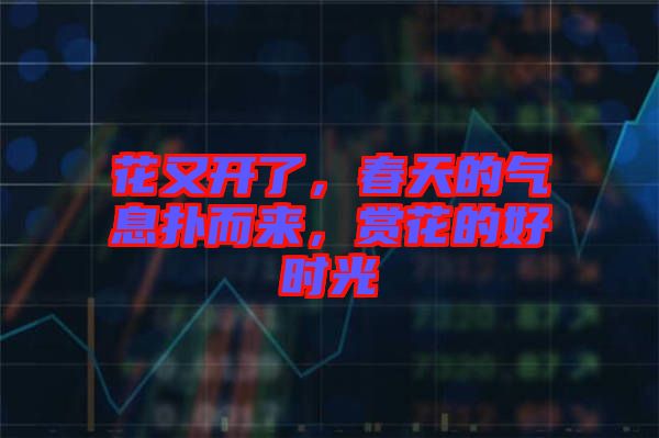 花又開了，春天的氣息撲而來，賞花的好時(shí)光