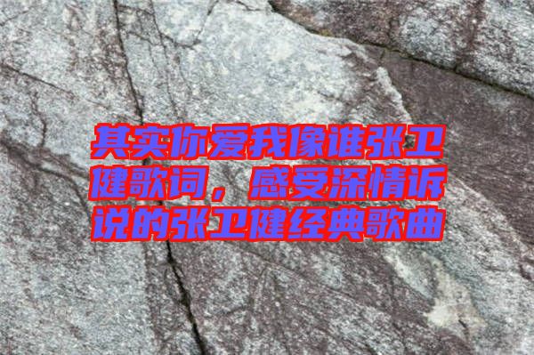 其實(shí)你愛我像誰張衛(wèi)健歌詞，感受深情訴說的張衛(wèi)健經(jīng)典歌曲