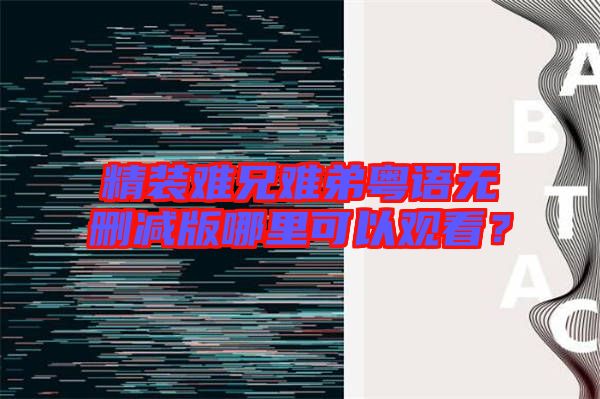 精裝難兄難弟粵語無刪減版哪里可以觀看？