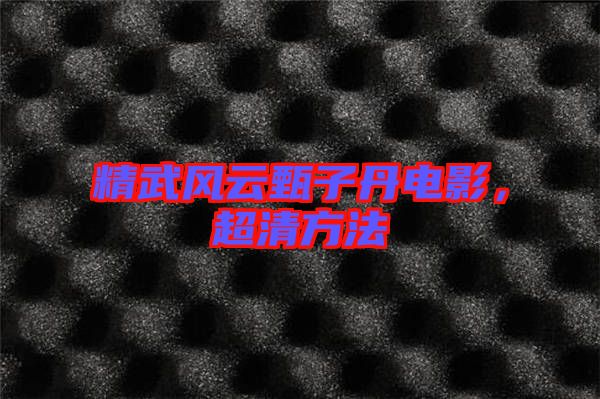 精武風(fēng)云甄子丹電影，超清方法