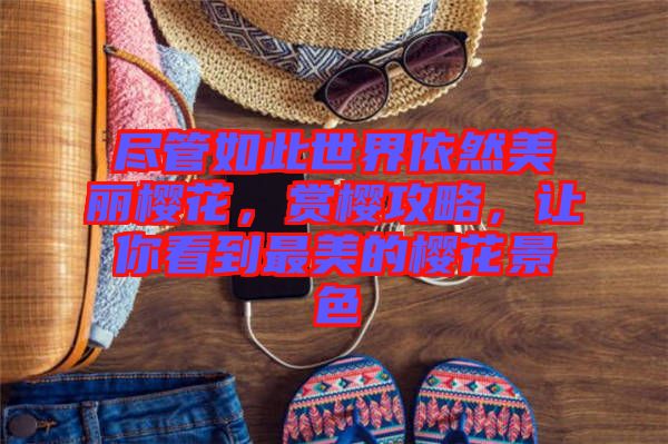 盡管如此世界依然美麗櫻花，賞櫻攻略，讓你看到最美的櫻花景色