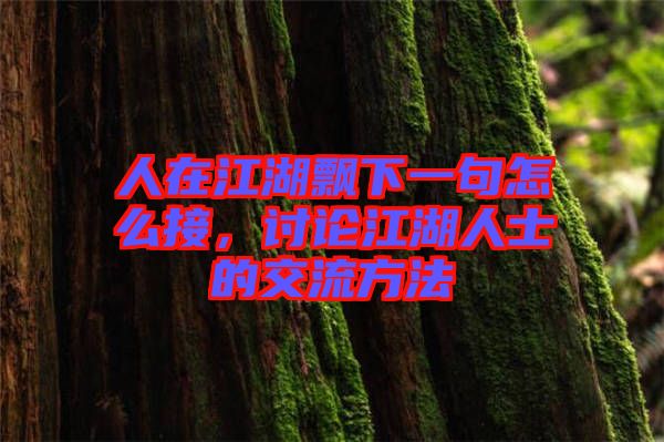 人在江湖飄下一句怎么接，討論江湖人士的交流方法