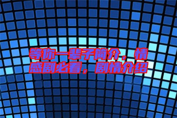 等你一輩子簡(jiǎn)介，情感劇必看，劇情介紹