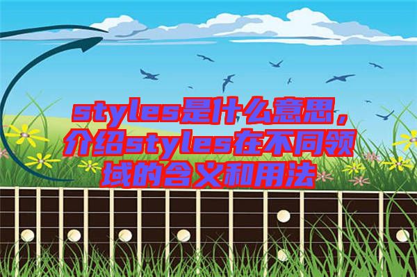 styles是什么意思，介紹styles在不同領(lǐng)域的含義和用法