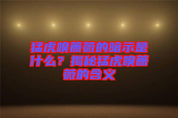 猛虎嗅薔薇的暗示是什么？揭秘猛虎嗅薔薇的含義