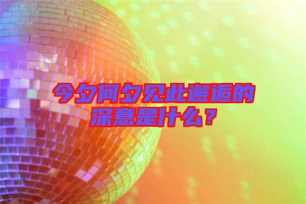 今夕何夕見此邂逅的深意是什么？