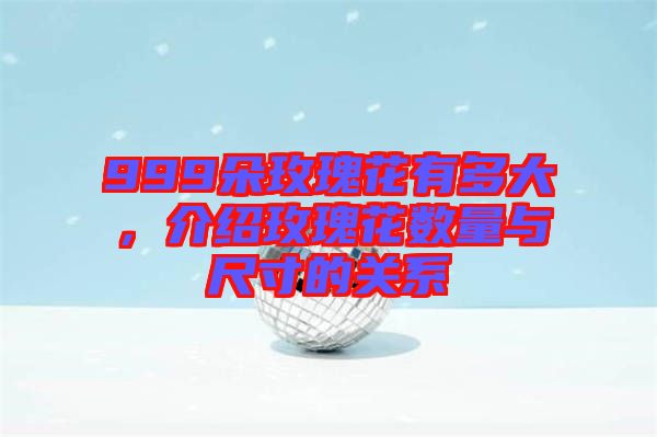 999朵玫瑰花有多大，介紹玫瑰花數(shù)量與尺寸的關(guān)系