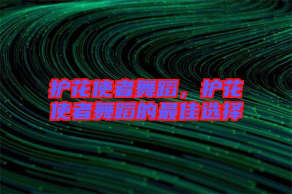 護花使者舞蹈，護花使者舞蹈的最佳選擇