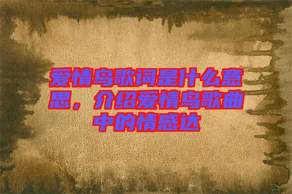 愛情鳥歌詞是什么意思，介紹愛情鳥歌曲中的情感達
