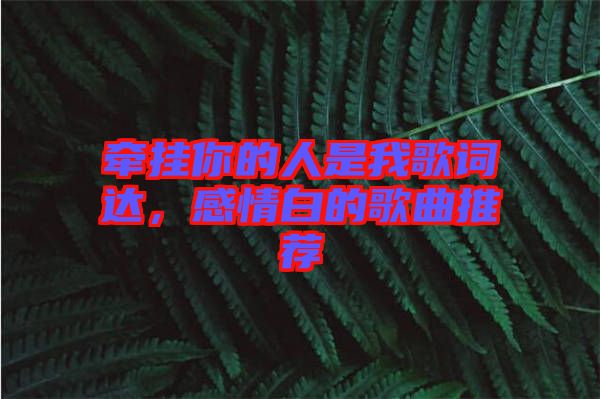 牽掛你的人是我歌詞達(dá)，感情白的歌曲推薦