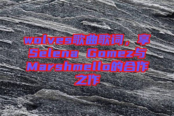 wolves歌曲歌詞，享Selena Gomez與Marshmello的合作之作