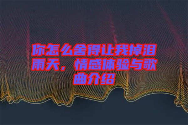 你怎么舍得讓我掉淚雨天，情感體驗與歌曲介紹