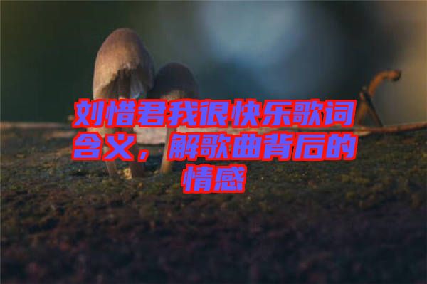 劉惜君我很快樂歌詞含義，解歌曲背后的情感