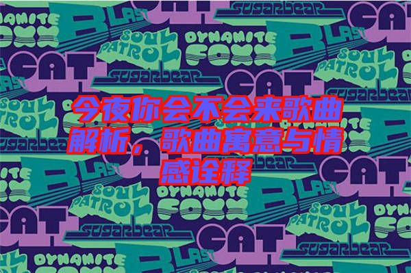 今夜你會(huì)不會(huì)來(lái)歌曲解析，歌曲寓意與情感詮釋