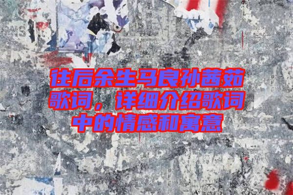 往后余生馬良孫茜茹歌詞，詳細(xì)介紹歌詞中的情感和寓意