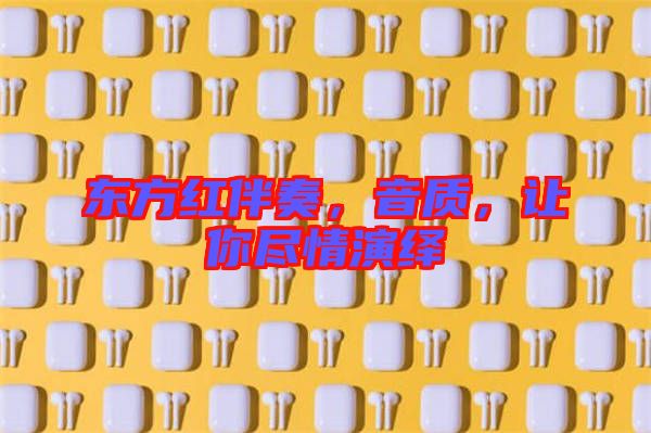 東方紅伴奏，音質，讓你盡情演繹