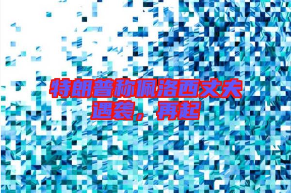 特朗普稱(chēng)佩洛西丈夫遇襲，再起