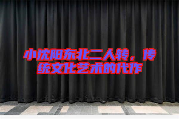 小沈陽東北二人轉(zhuǎn)，傳統(tǒng)文化藝術(shù)的代作