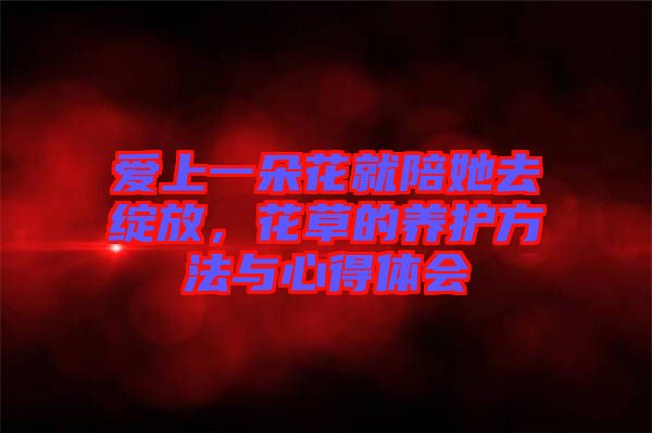 愛(ài)上一朵花就陪她去綻放，花草的養(yǎng)護(hù)方法與心得體會(huì)