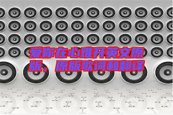 愛你在心難開英文原版，原版歌詞和翻譯