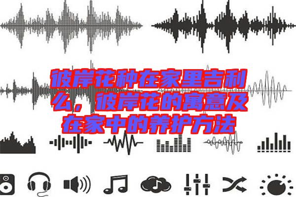 彼岸花種在家里吉利么，彼岸花的寓意及在家中的養(yǎng)護(hù)方法