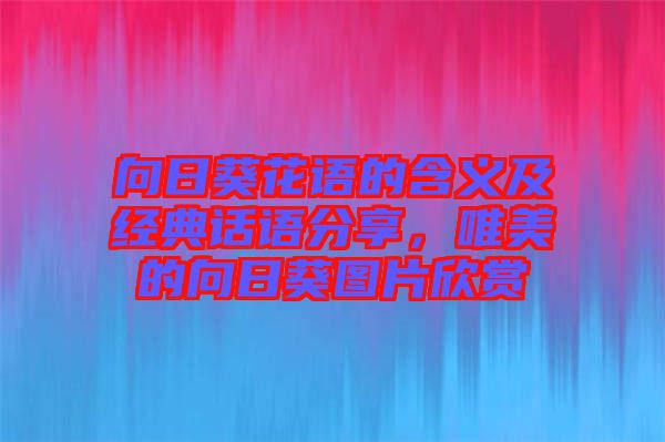 向日葵花語的含義及經(jīng)典話語分享，唯美的向日葵圖片欣賞