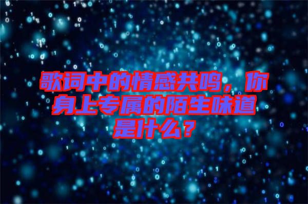 歌詞中的情感共鳴，你身上專屬的陌生味道是什么？