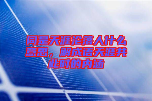 同是天涯淪落人什么意思，解成語天涯共此時的內(nèi)涵