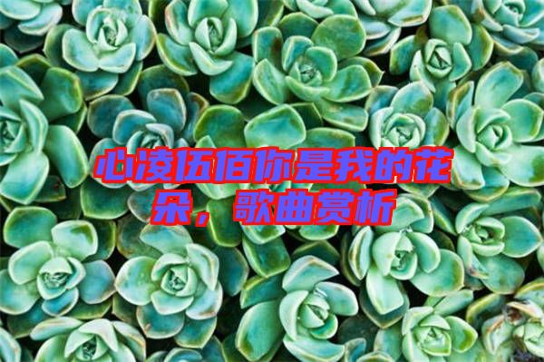 心凌伍佰你是我的花朵，歌曲賞析