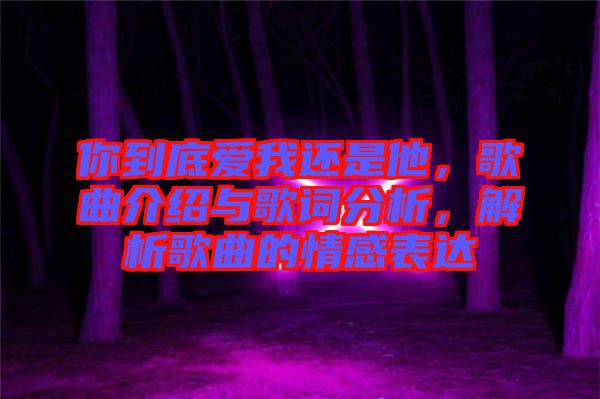 你到底愛我還是他，歌曲介紹與歌詞分析，解析歌曲的情感表達(dá)