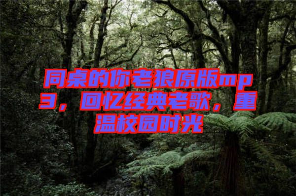 同桌的你老狼原版mp3，回憶經(jīng)典老歌，重溫校園時(shí)光