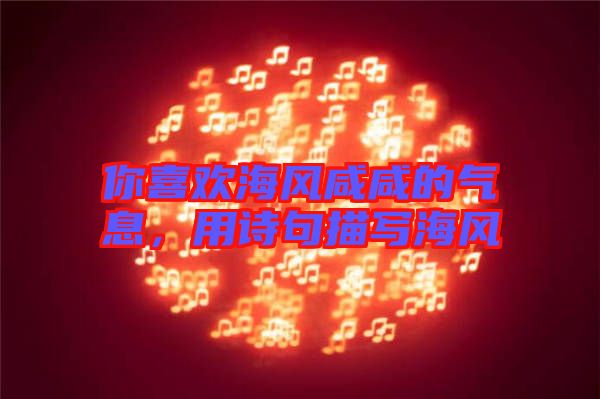 你喜歡海風(fēng)咸咸的氣息，用詩(shī)句描寫海風(fēng)