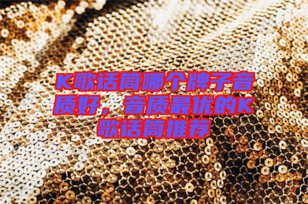 K歌話筒哪個(gè)牌子音質(zhì)好，音質(zhì)最優(yōu)的K歌話筒推薦
