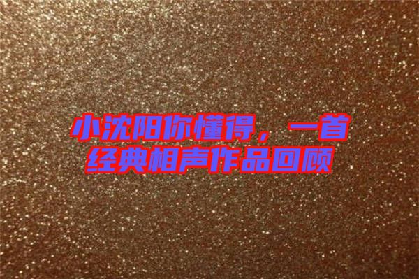 小沈陽你懂得，一首經(jīng)典相聲作品回顧