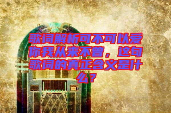 歌詞解析可不可以愛(ài)你我從來(lái)不曾，這句歌詞的真正含義是什么？