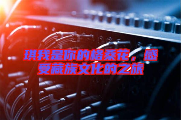 琪我是你的格?；?，感受藏族文化的之旅