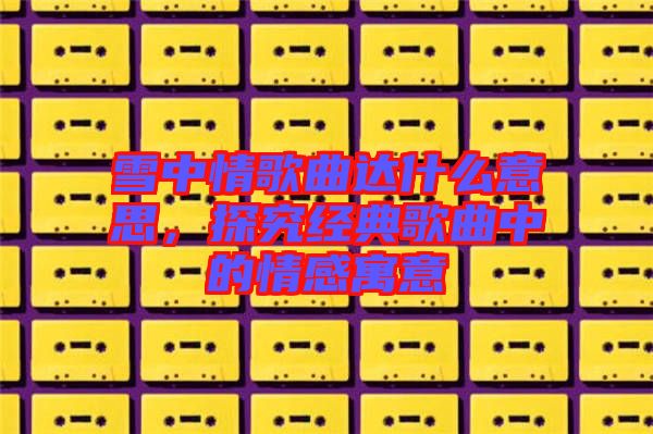 雪中情歌曲達(dá)什么意思，探究經(jīng)典歌曲中的情感寓意