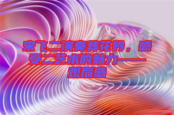 宋飛二演奏葬花吟，感受二藝術(shù)的魅力——觀后感