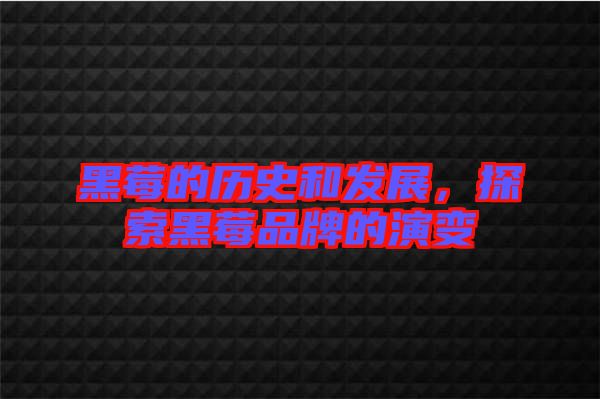 黑莓的歷史和發(fā)展，探索黑莓品牌的演變