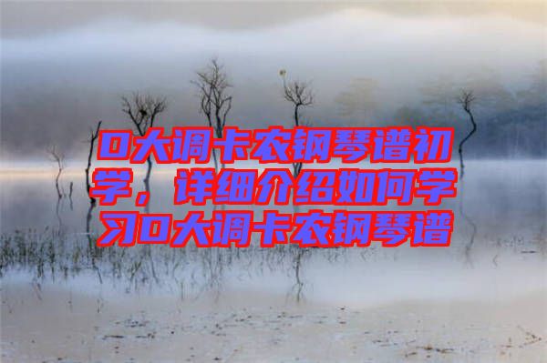 D大調(diào)卡農(nóng)鋼琴譜初學(xué)，詳細(xì)介紹如何學(xué)習(xí)D大調(diào)卡農(nóng)鋼琴譜