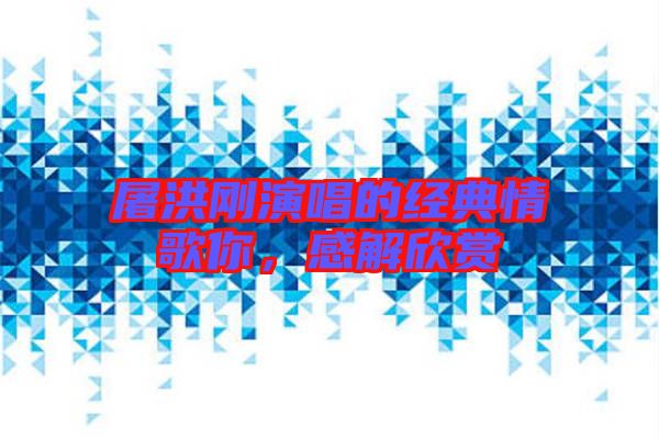 屠洪剛演唱的經(jīng)典情歌你，感解欣賞