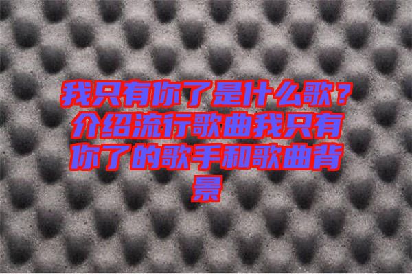 我只有你了是什么歌？介紹流行歌曲我只有你了的歌手和歌曲背景
