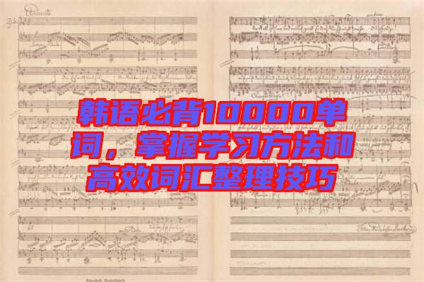 韓語必背10000單詞，掌握學(xué)習(xí)方法和高效詞匯整理技巧