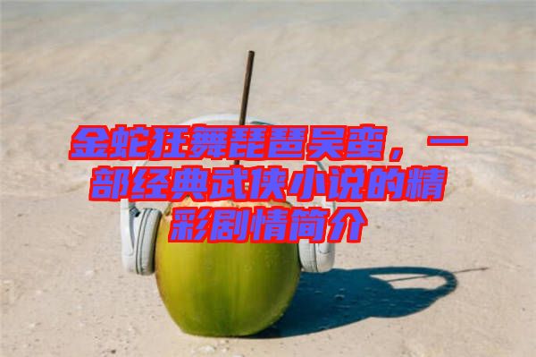 金蛇狂舞琵琶吳蠻，一部經(jīng)典武俠小說的精彩劇情簡介